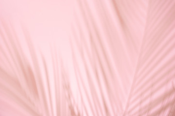 Summer beach day scene with tropical plams shadow on pink background. Minimal sunlight tropical arrangement.