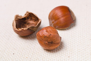 macro cracked hazelnut on rough light tablecloth.