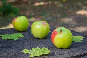 Apples and maple leaves on an old wooden table in the autumn Park. Autumn vacation.