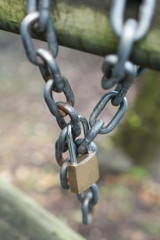 A padlock hangs on a chain on an old wooden log gate with moss in the park