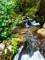Bussento Stream in the natural reserve of Morigerati
