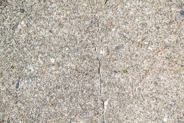 Cement pavement texture