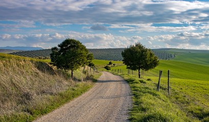 road in the countryside