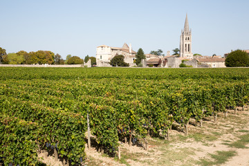 Fototapeta na wymiar Vineyards at Saint Emilion village in Bordeaux wine France