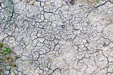 Dried up lake bed, texture
