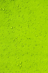 Rain drops texture on tent in the morning © BenOPhoto