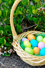 Easter Egg Basket Outside