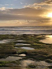La Jolla Beaches during the golden hour.