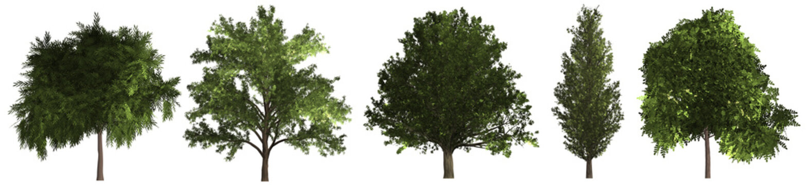 Set of different green trees