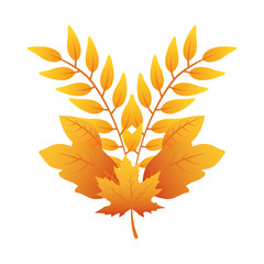 Fototapeta premium autumn branch with leafs decorative crown