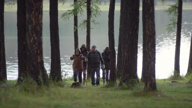 Slow motion shot of group of senior men and women with backpacks talking and walking towards the camera through pine forest on rainy autumn day; lake is in the background