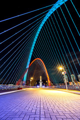 Expo bridge looking towards the science park tower with bridge foreground
