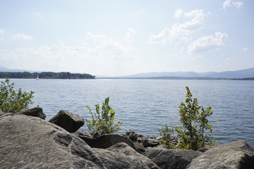 rocky shore with plants of a mountain lake on a Sunny day, hilly terrain, in the distance yachts and boats. rest by the water on a hot day