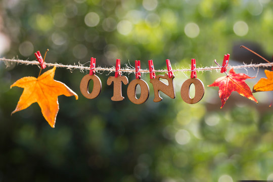 Letters of word oto&ntilde;o in spanish (autumn or fall) hanging from a rope with some leaves