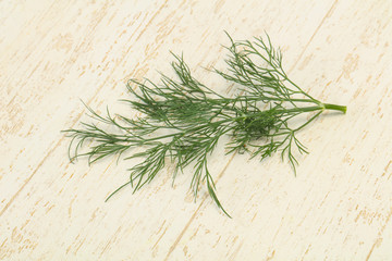 Fresh green dill herb branch