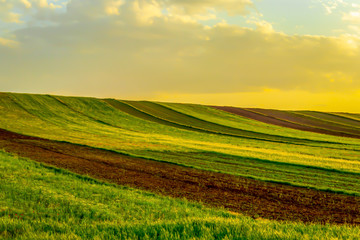 green field with blue sky and sunset