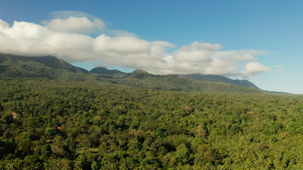 Fototapeta na wymiar Mountains covered rainforest, trees and blue sky with clouds, aerial view. Camiguin, Philippines. Mountain landscape on tropical island with mountain peaks covered with forest. Slopes of mountains