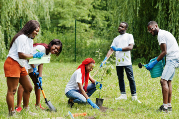 Group of happy african volunteers planting tree in park. Africa volunteering, charity, people and ecology concept.