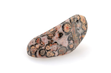 Leopard jasper on a white background.