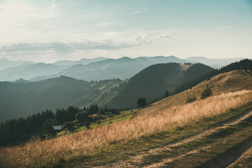 Summer evening in carpathian mountains with a trail in the foreground