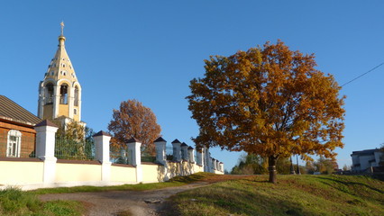 Fototapeta premium autumn in the park