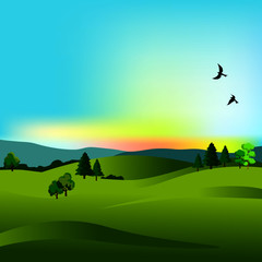Obraz na płótnie Canvas landscape view, field, tree, sky