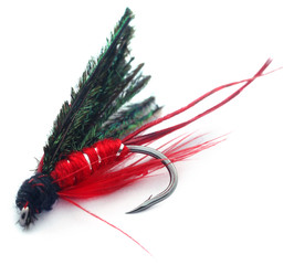 Fishing fly with hook