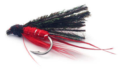 Fishing fly with hook