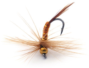 Fishing fly with hook