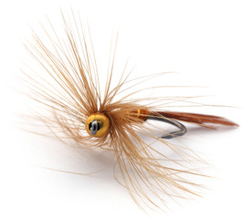 Fishing fly with hook
