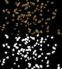 3D illustration of a soybean flow with alpha layer