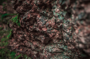 Red stone with green dots in macro