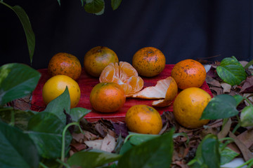 Frutas frescas para el desayuno
