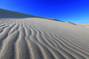 Fototapeta na wymiar Beautiful White Sands dune