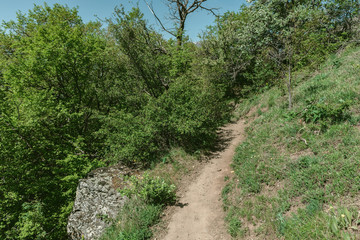 Hiking pathway- journey through roads, mystical nature