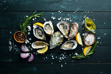 Fresh Oysters. Seafood. Top view. On a black background. Free copy space. © Yaruniv-Studio