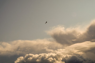 The sun and clouds on the blue sky. Cloudy weather with cumulus, dark clouds. Autumn day. A strong...