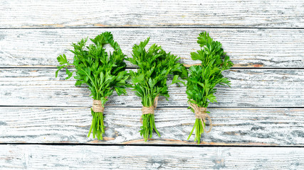 Parsley on a white background. Top view. Free space for your text.