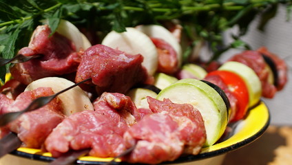 Cooking meat and vegetables on an open fire. Picnic on the air.