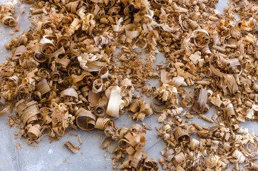 The empty space for copy text with wood sawdust or wood shavings in gray background. Close up view of wood sawdust texture material background. Abstract texture and background for designers..