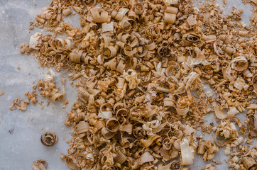The empty space for copy text with wood sawdust or wood shavings in gray background. Close up view of wood sawdust texture material background. Abstract texture and background for designers..