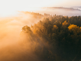 Autumn fog and the beautiful morning sun in a landscape