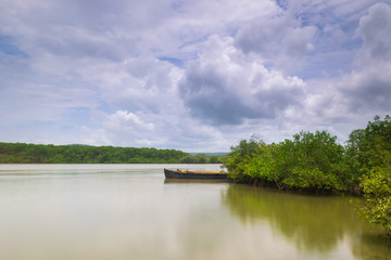 Beautiful monsoon fishing landscape in India
