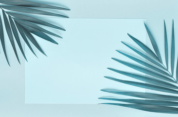 Palm leaves on blue background.