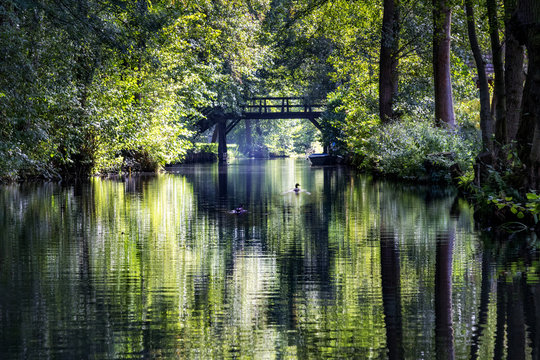 Spreewald Kanal