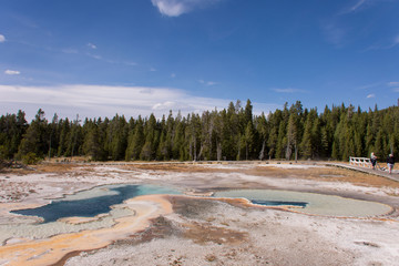 Yellowstone 
