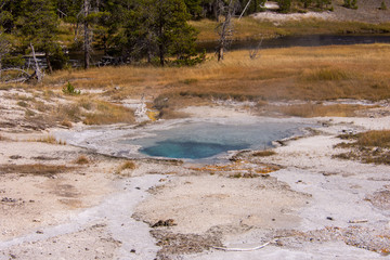 Yellowstone 