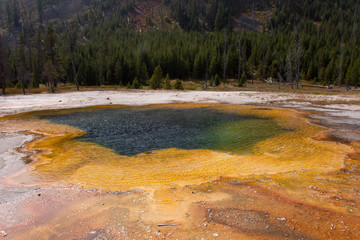 Yellowstone 