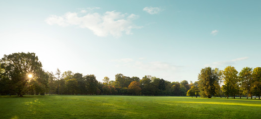 Beautiful panorama of city park in autumn