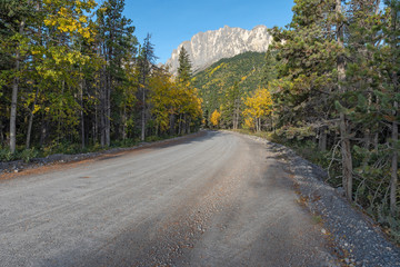 Mountain Country Road